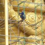 Scaffolding