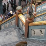 Mama Monkey