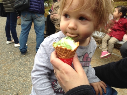 Green tea ice cream